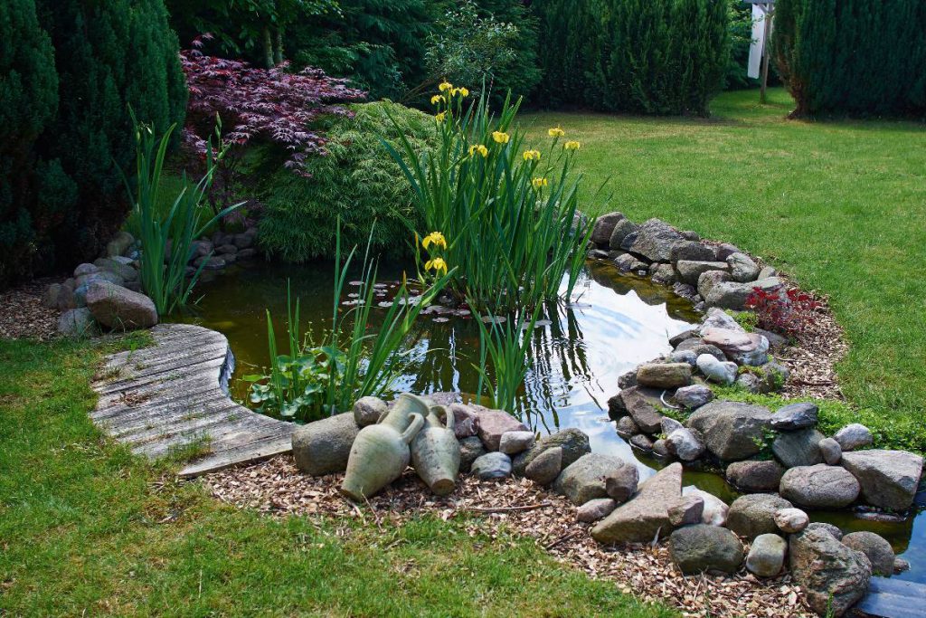 Construire son bassin d'eau au jardin – Fermes et Jardins