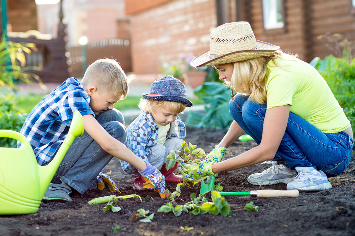 Jardiner Avec Les Enfants – Fermes Et Jardins