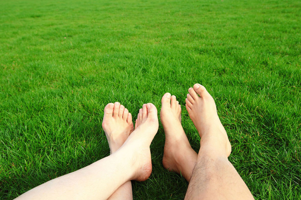 pieds pelouse
