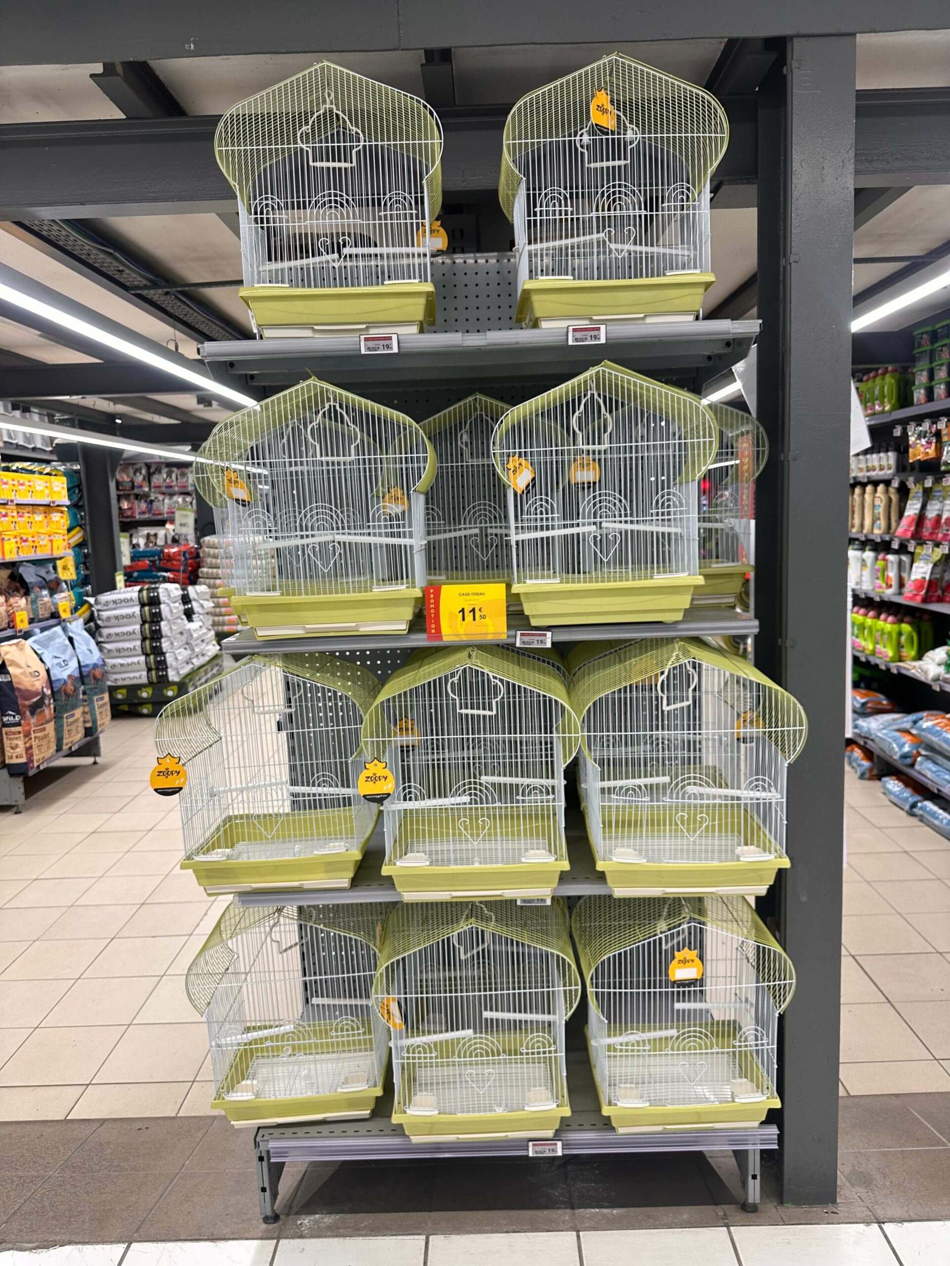 003ee9d3-80db-47a3-a277-f4cbafbe5622-img-4457