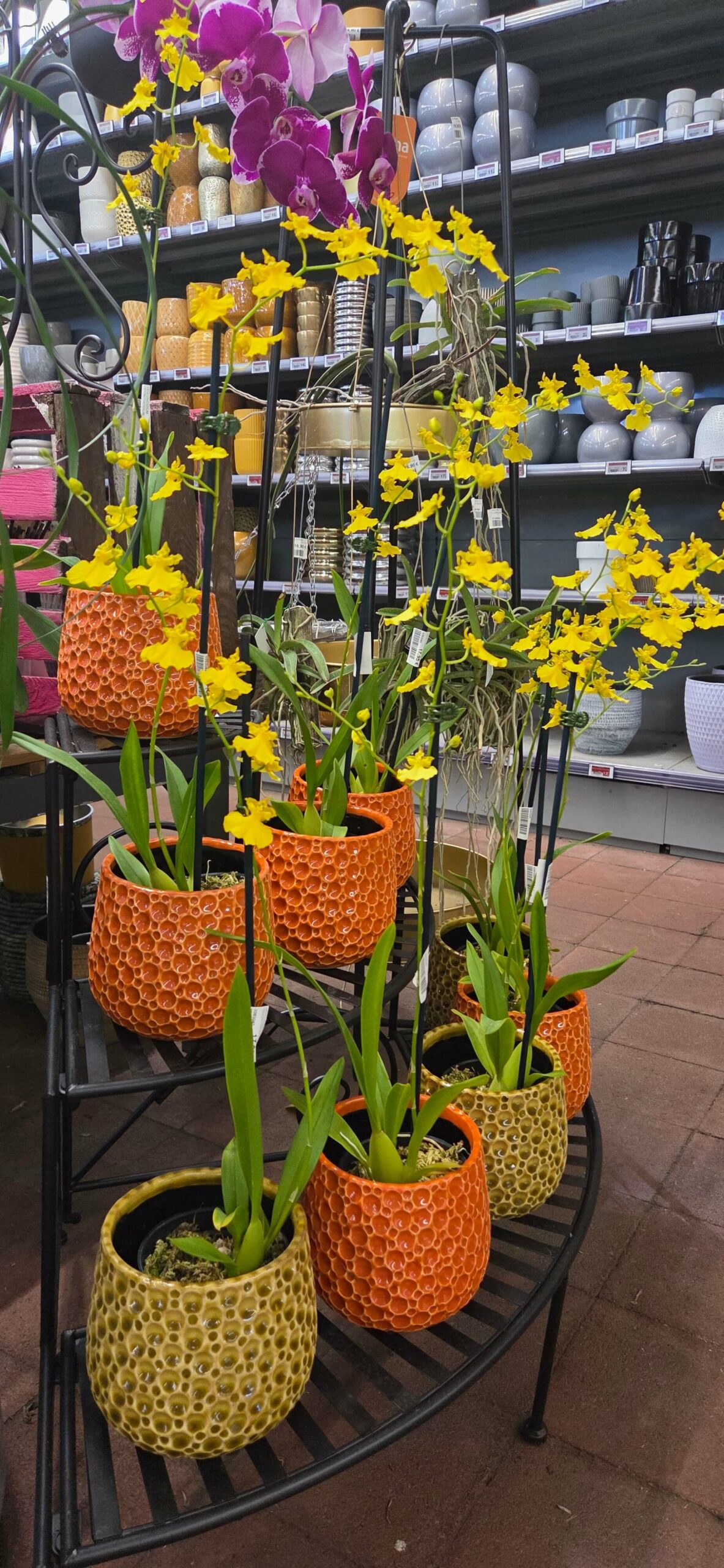 01fc09f8-1412-46b8-8d0e-b565d78e0345-20251010-092700