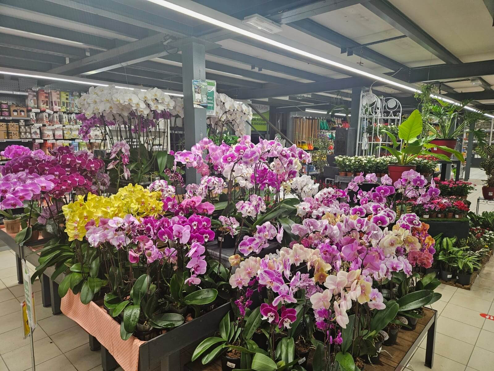 400b4be9-95e7-42ae-ac8b-0039a30013a8-whatsapp-image-2026-02-03-at-19-10-51