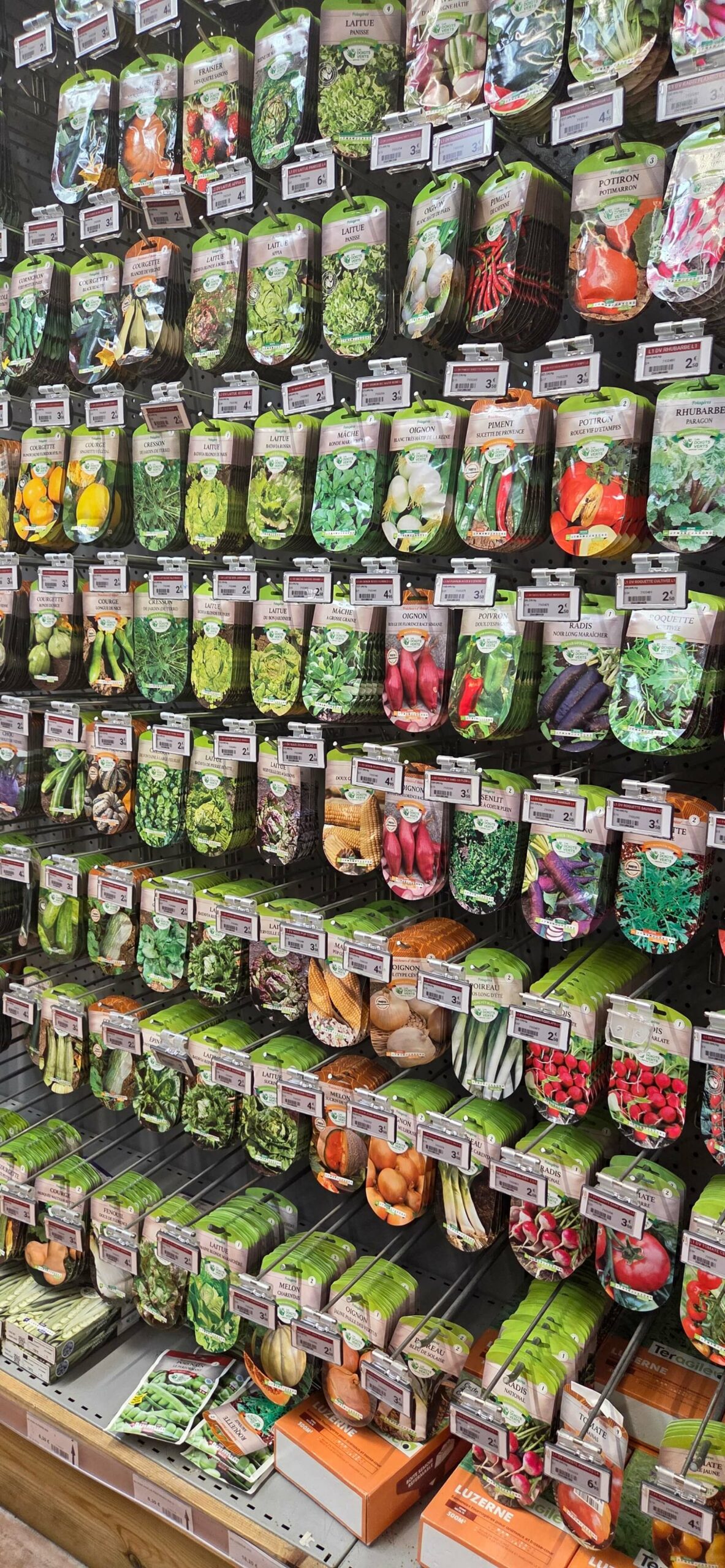 481e0ceb-71de-43a5-926a-926130b1dc30-20251010-095509