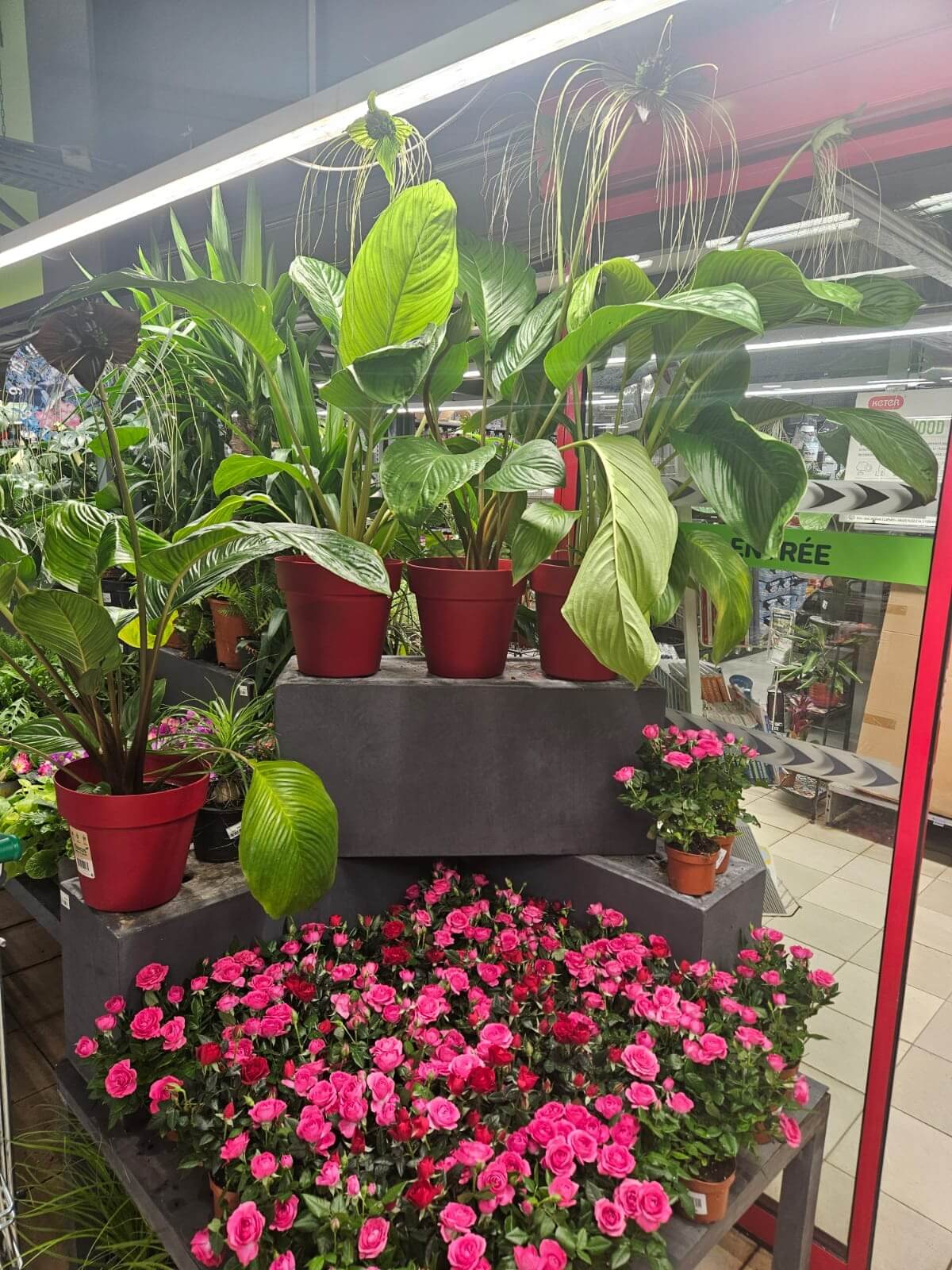 6e3ae853-f061-481d-bc6c-ead2926b5c68-whatsapp-image-2026-02-03-at-19-10-53-1