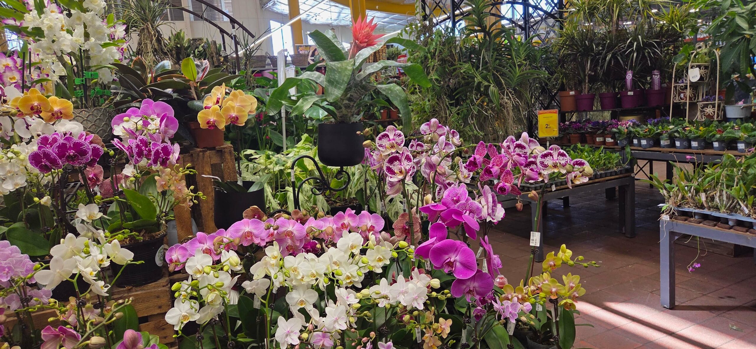 7d2ba653-867e-4d9a-ab72-01d9d14b355f-20251010-092754