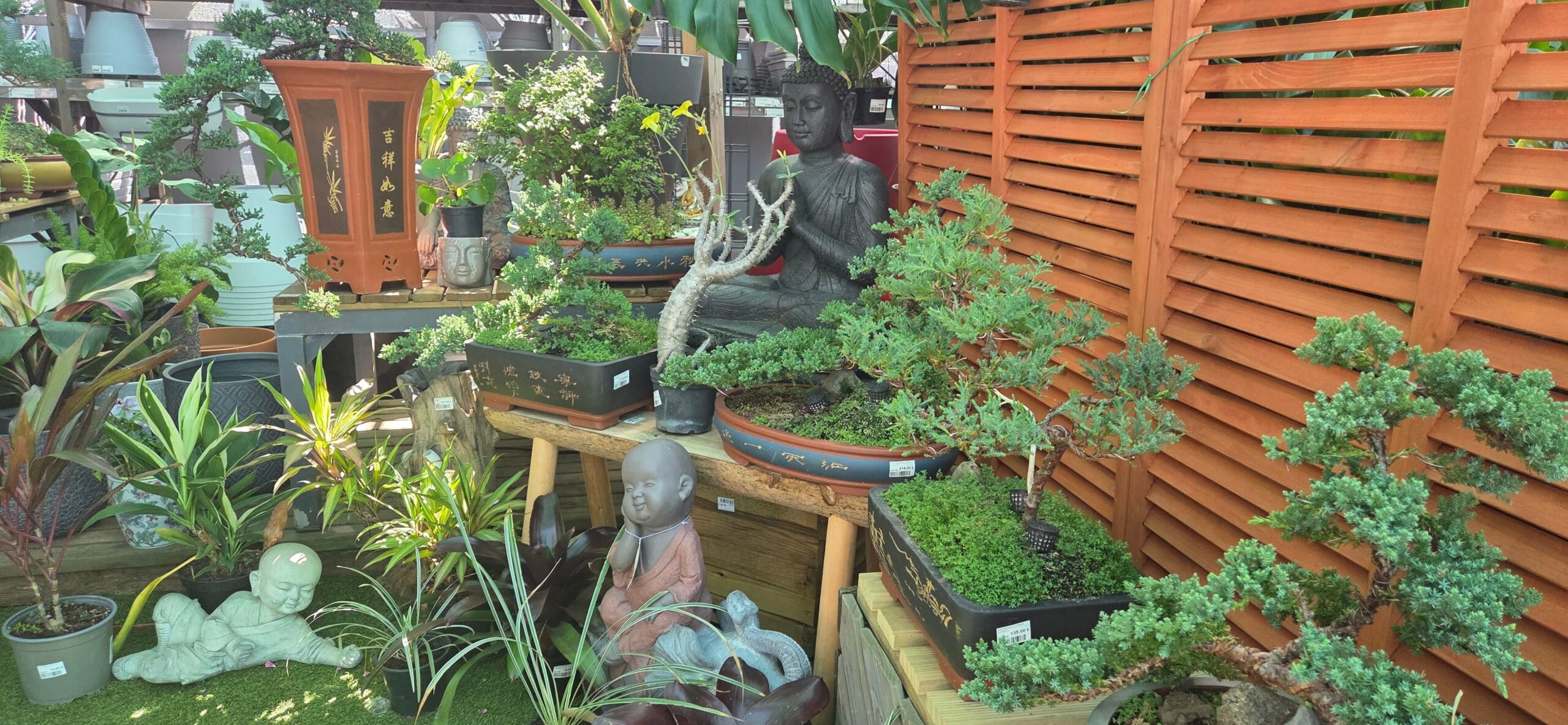 7ddfee5b-2a42-4ae7-bedf-0648cba0fd18-20251010-094903