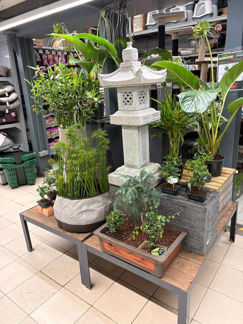 8534239c-7df4-4329-b8c8-fb2bb8cd9b27-whatsapp-image-2026-02-03-at-19-10-56