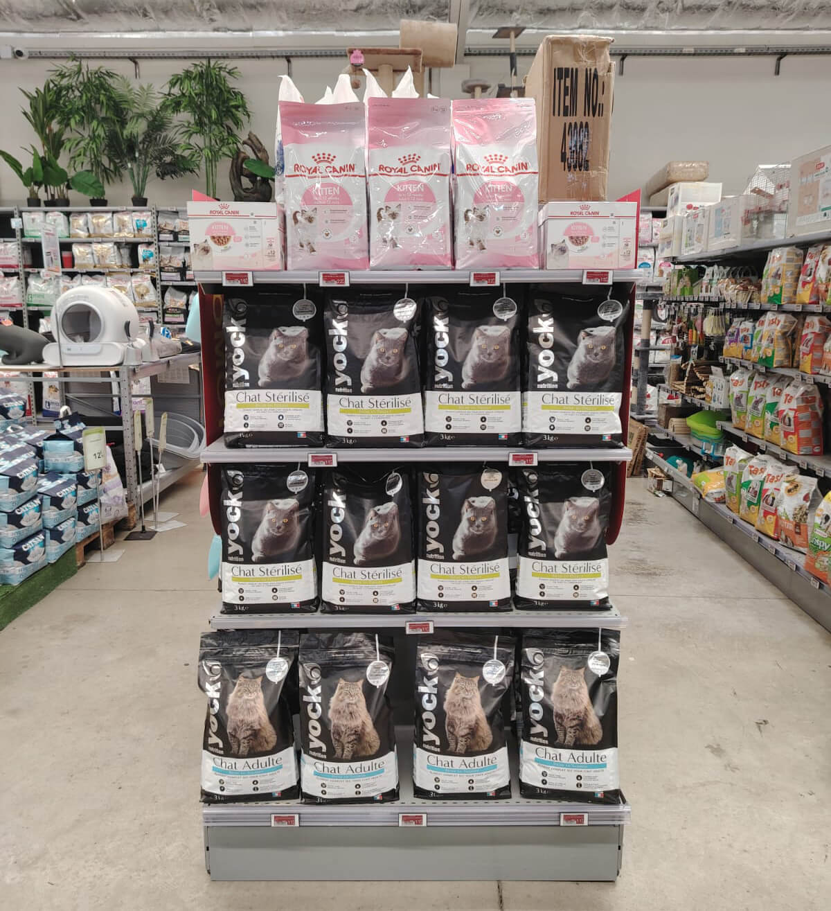 WhatsApp Image 2026-01-07 at 17.57.14