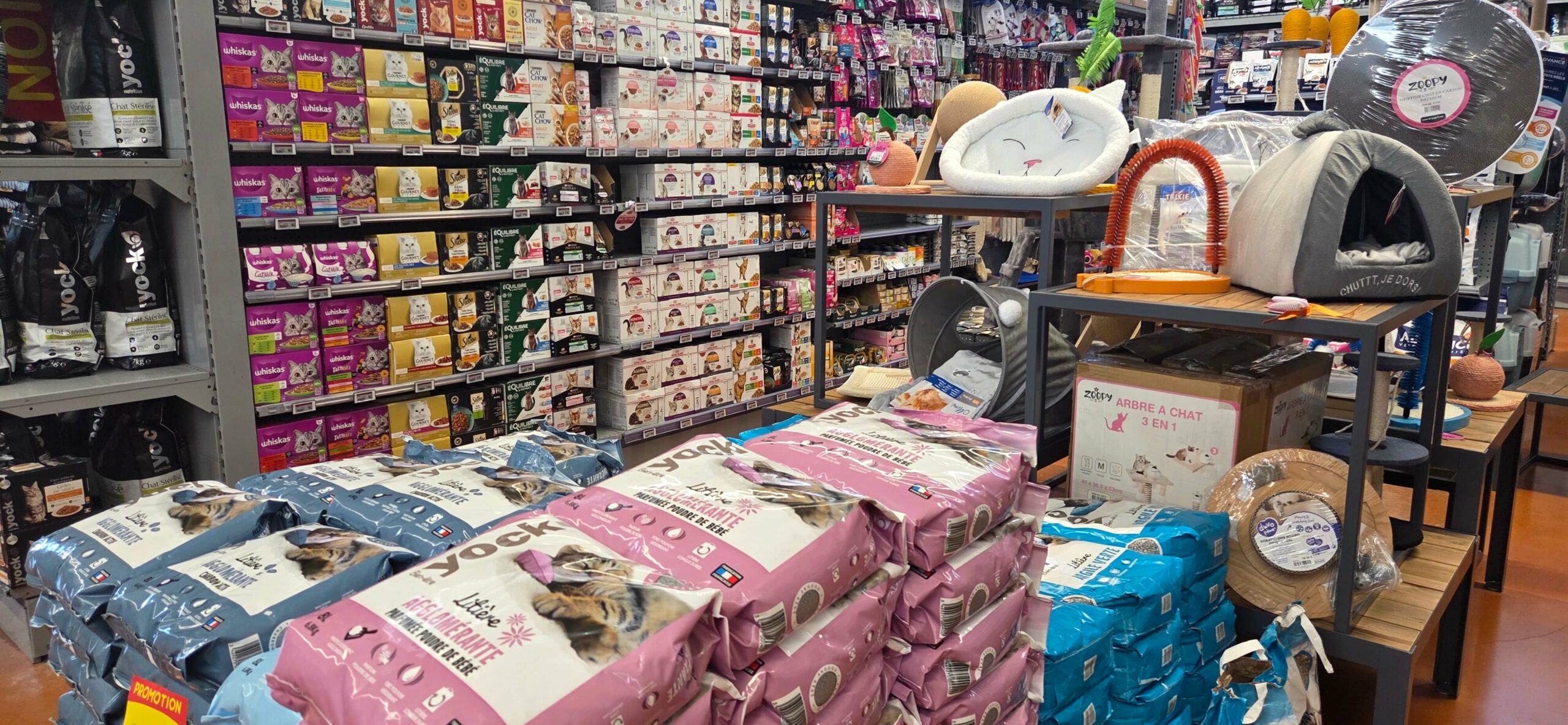 ba805ffe-662e-4dac-8cbb-f8e183bf4394-20251010-094436