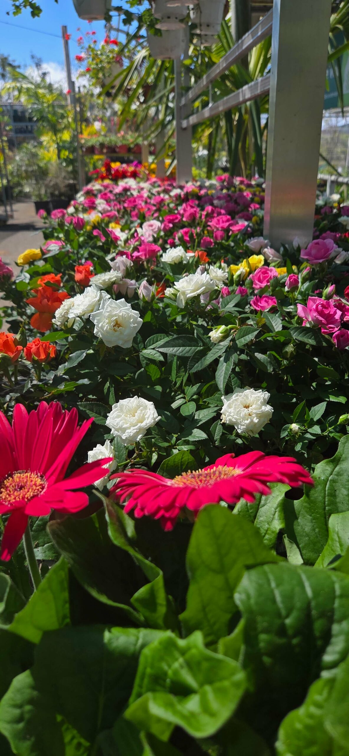 d5a7e347-e857-4f89-8e18-f9607df0e866-20251010-095122