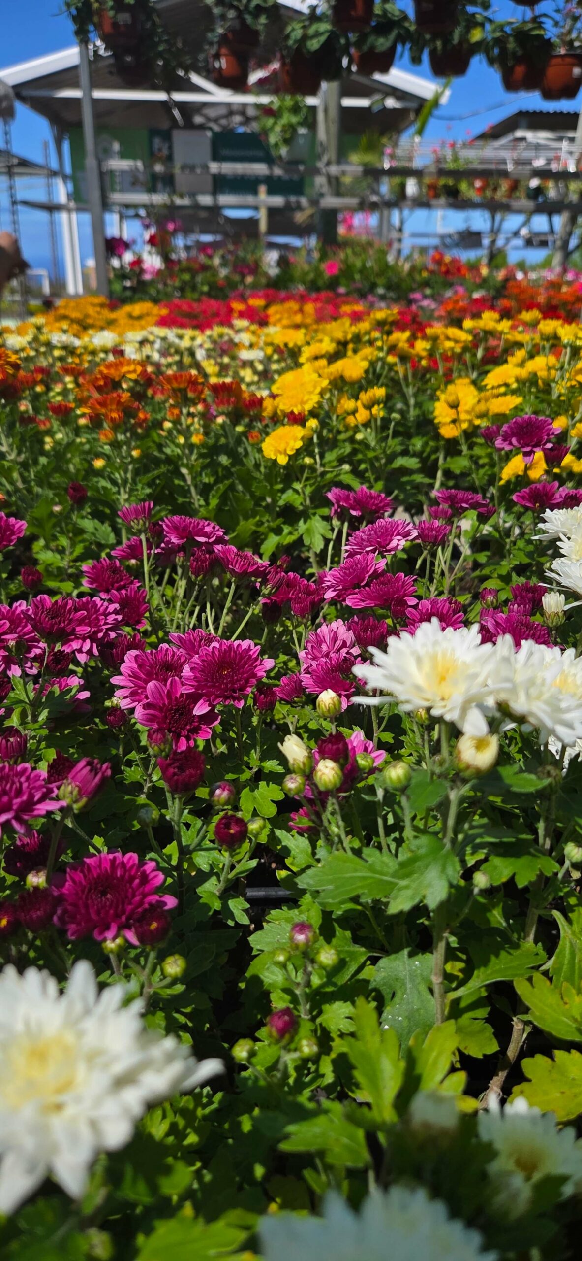 df0c8ec2-2252-4b00-a06a-9895cfa2133c-20251010-094939