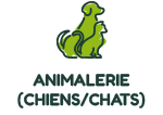 chien-chat-icon
